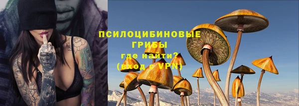 ECSTASY Вяземский