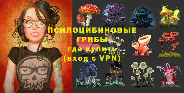 ECSTASY Вяземский