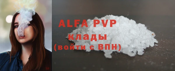 ПСИЛОЦИБИНОВЫЕ ГРИБЫ Горно-Алтайск