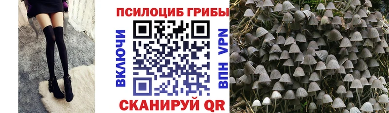 Псилоцибиновые грибы Psilocybine cubensis  Орск 